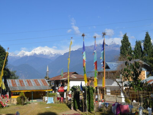 Dokohthang Village Homestay - Gallery - 8