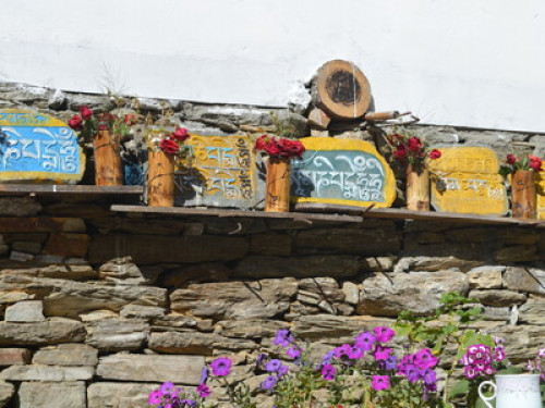 Dokohthang Village Homestay - Gallery - 13
