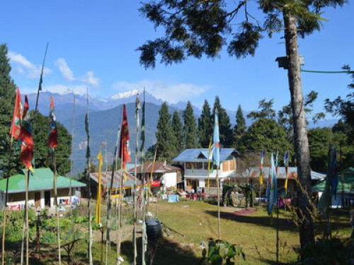 Dokohthang Village Homestay - Gallery - 9
