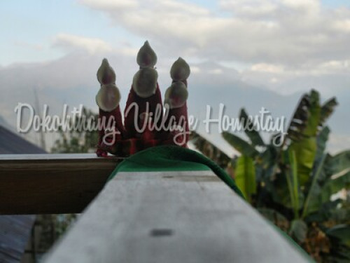 Dokohthang Village Homestay - Gallery - 4