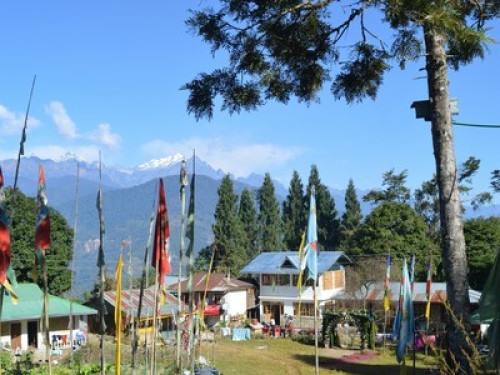 Dokohthang Village Homestay - Gallery - 14