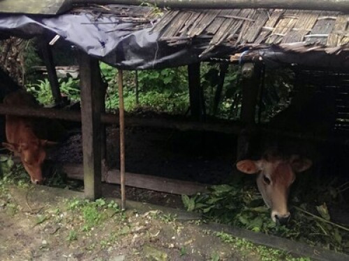 Dokohthang Village Homestay - Gallery - 21