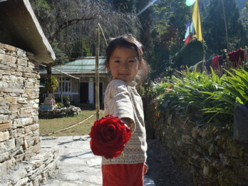Dokohthang Village Homestay - Gallery - 10