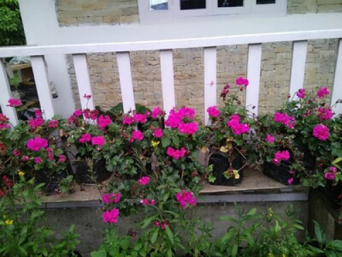 Dokohthang Village Homestay - Gallery - 22