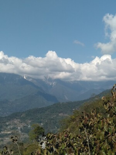 Phenzong homestay - Gallery - 12