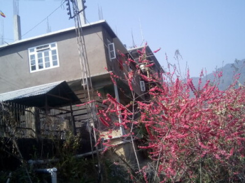 Phenzong homestay - Gallery - 8