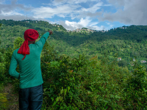 maaz-bari homestay - Gallery - 8
