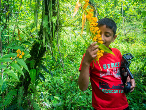 maaz-bari homestay - Gallery - 12