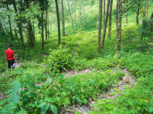 maaz-bari homestay - Gallery - 10