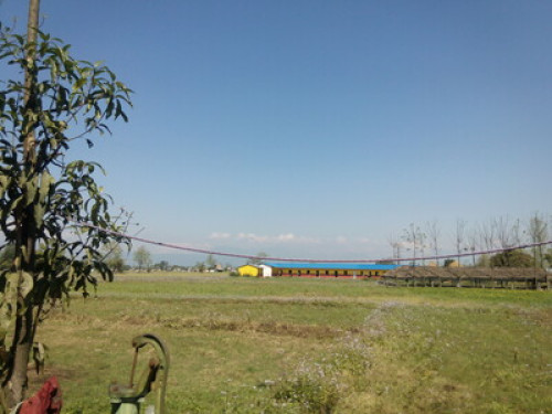 Home stay for helper/volunteer / - Gallery - 8