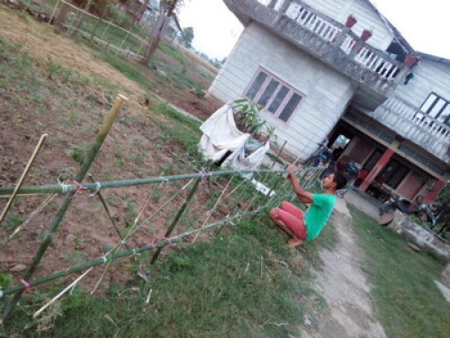 Home stay for helper/volunteer / - Gallery - 9
