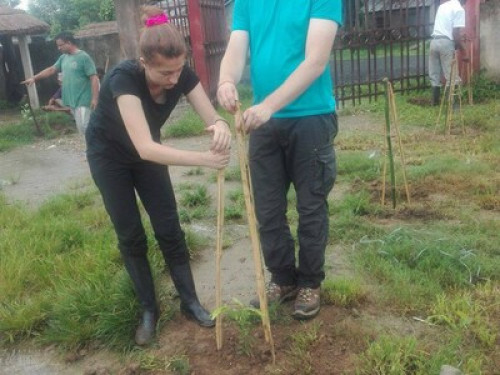 Home stay for helper/volunteer / - Gallery - 11