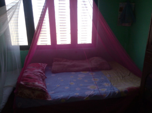 Home stay for helper/volunteer / - Gallery - 2