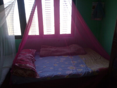 Home stay for helper/volunteer / - Gallery - 16