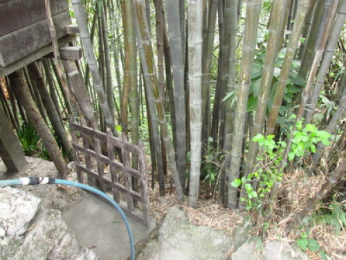 Lazomla Homestay - Gallery - 12