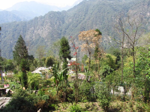 Lazomla Homestay - Gallery - 8