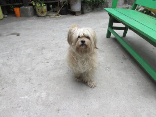 Lazomla Homestay - Gallery - 2