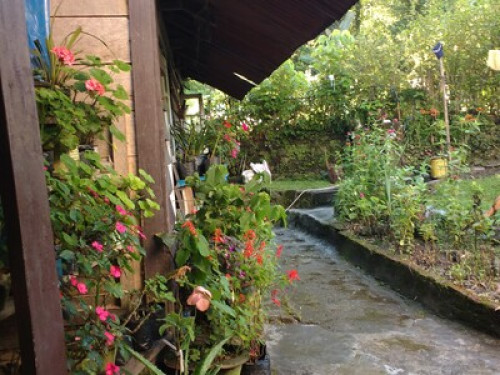 Lazomla Homestay - Gallery - 32