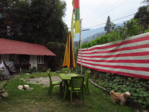 Lazomla Homestay - Gallery - 5