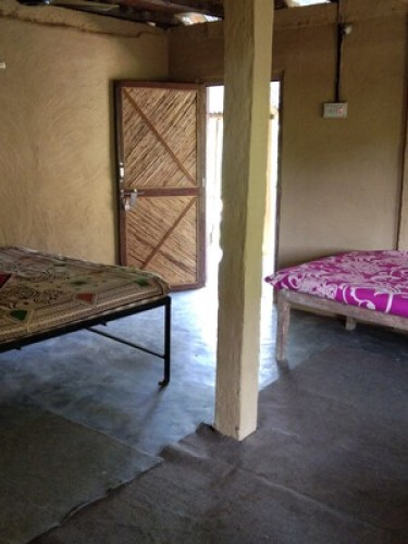 My home in jungle - Gallery - 3
