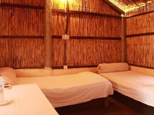 My home in jungle - Gallery - 6
