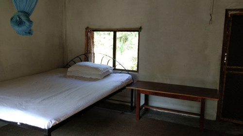 My home in jungle - Gallery - 14