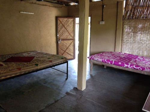 My home in jungle