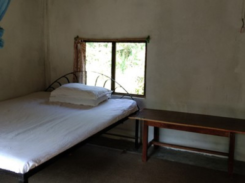 My home in jungle - Gallery - 8