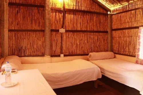 My home in jungle - Gallery - 21
