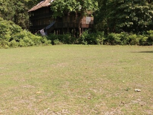My home in jungle - Gallery - 13