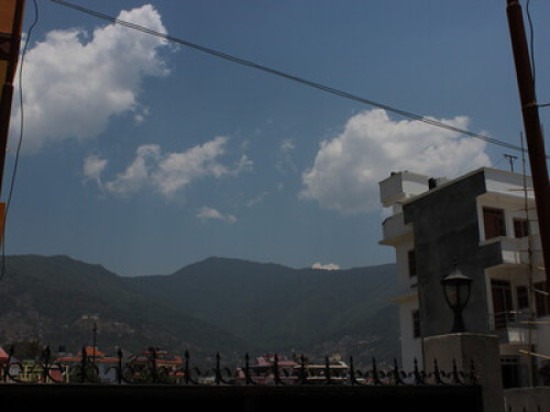 Love nature in Dibyanagar - Gallery - 7