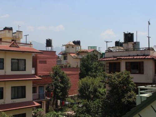 Love nature in Dibyanagar - Gallery - 4