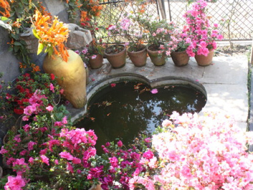 Near to the city, far from pollutio - Gallery - 2