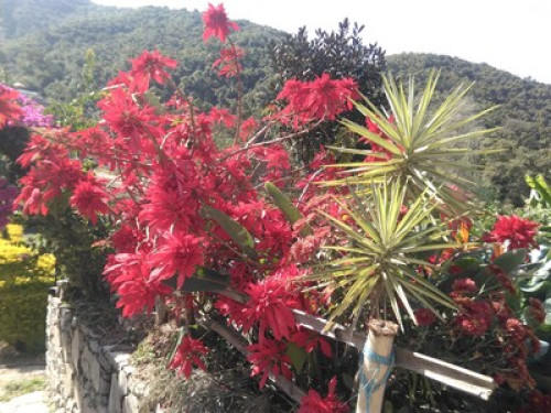 Near to the city, far from pollutio - Gallery - 5