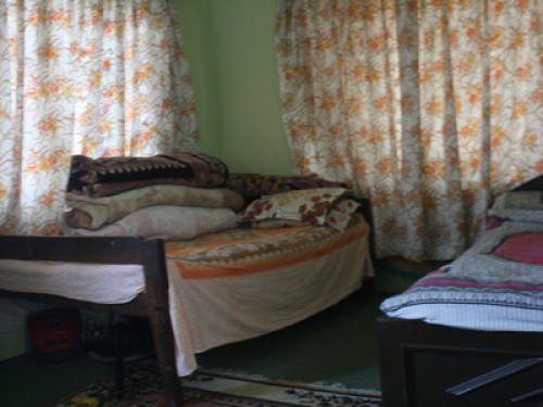 Near to the city, far from pollutio - Gallery - 9