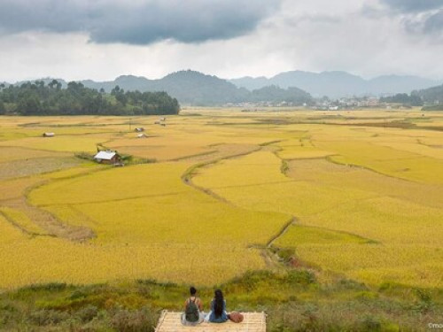 Homestay in the Heart of ZiroValley - Gallery - 8