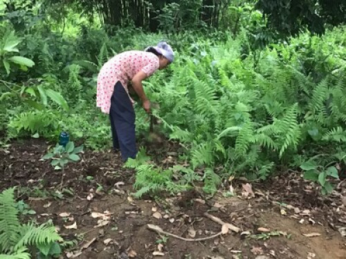 Rural living in Chitwan Nepal! - Gallery - 15
