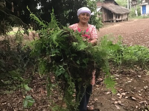 Rural living in Chitwan Nepal! - Gallery - 13