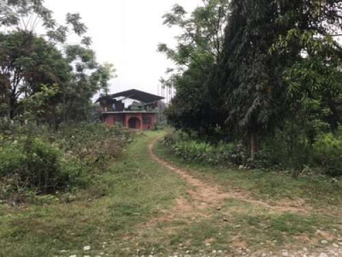 Rural living in Chitwan Nepal! - Gallery - 12