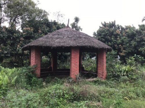 Rural living in Chitwan Nepal! - Gallery - 4