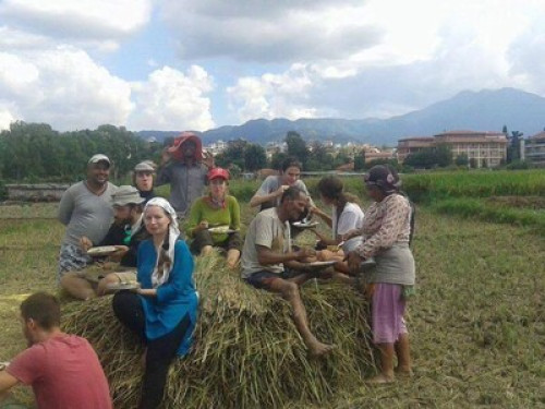 Sanu House Homestay - Gallery - 7