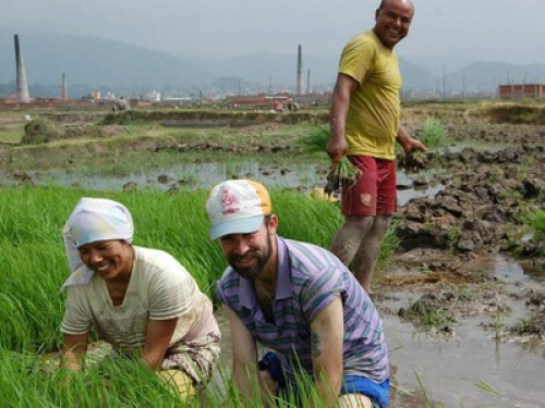 Sanu House Homestay - Gallery - 8