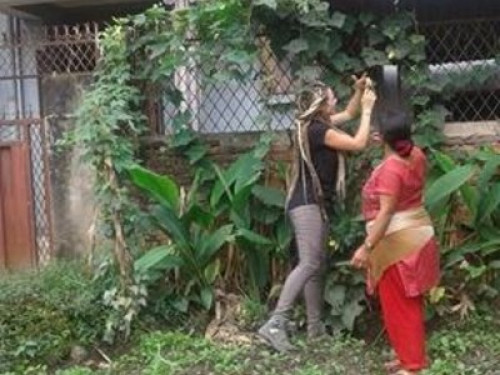 Sanu House Homestay - Gallery - 11