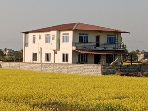 Green View home stay 