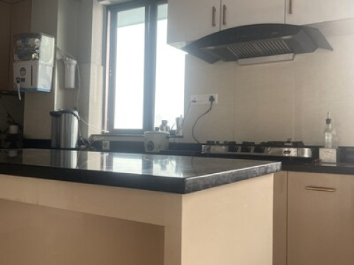 Kuma’s place - Gallery - 5