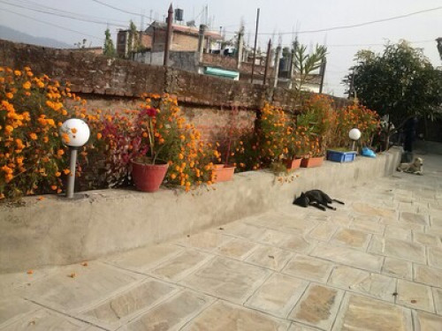 Typical Nepali Family in Kathmandu - Gallery - 6