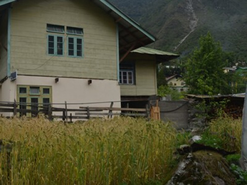 lachung sikkim home stay - Gallery - 6