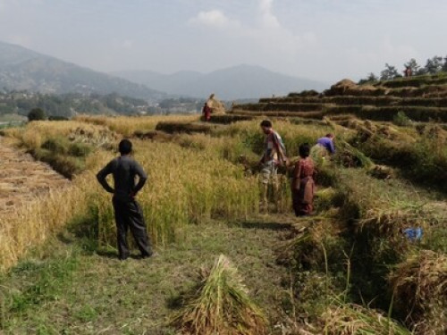 Village Homestay near Kathmandu - Gallery - 12