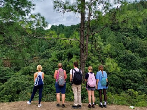 Niru Yoga Homestay with Hiking - Gallery - 9