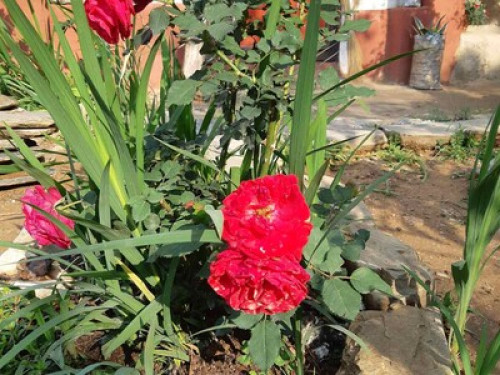 Abode Nepal - Gallery - 4